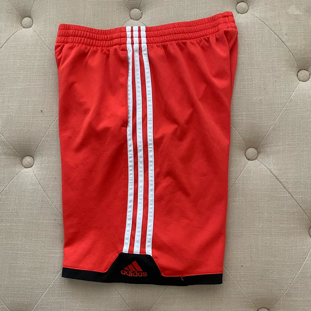 Boys Shorts